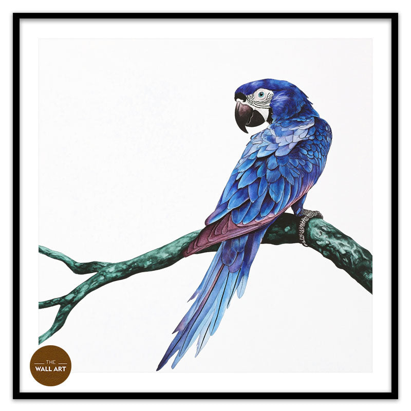 BLUE PARROT ON BRANCH