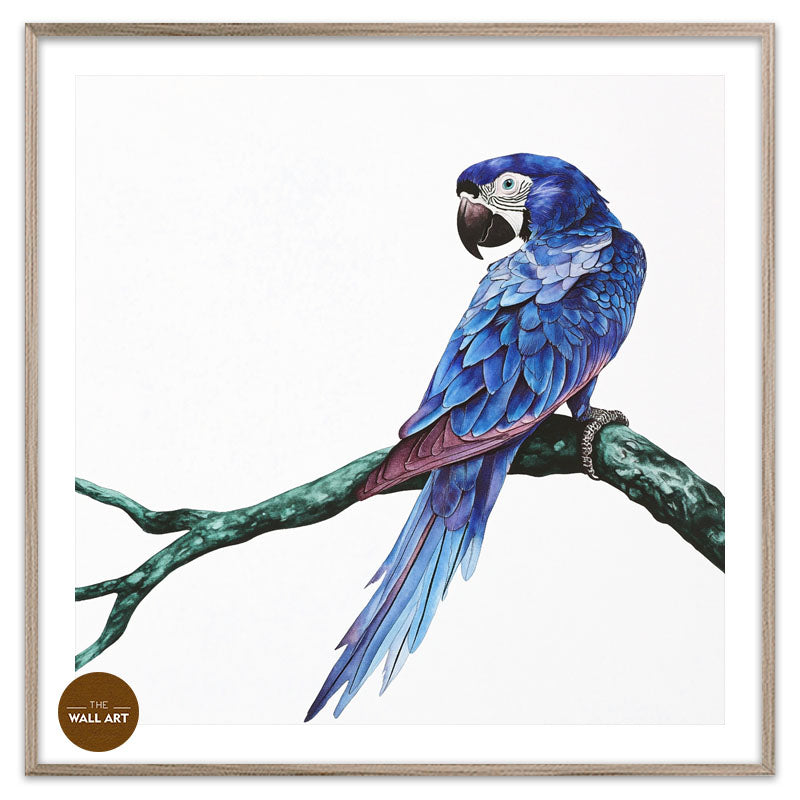 BLUE PARROT ON BRANCH