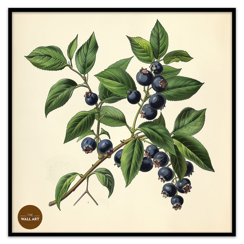 BLUEBERRY BRANCH II