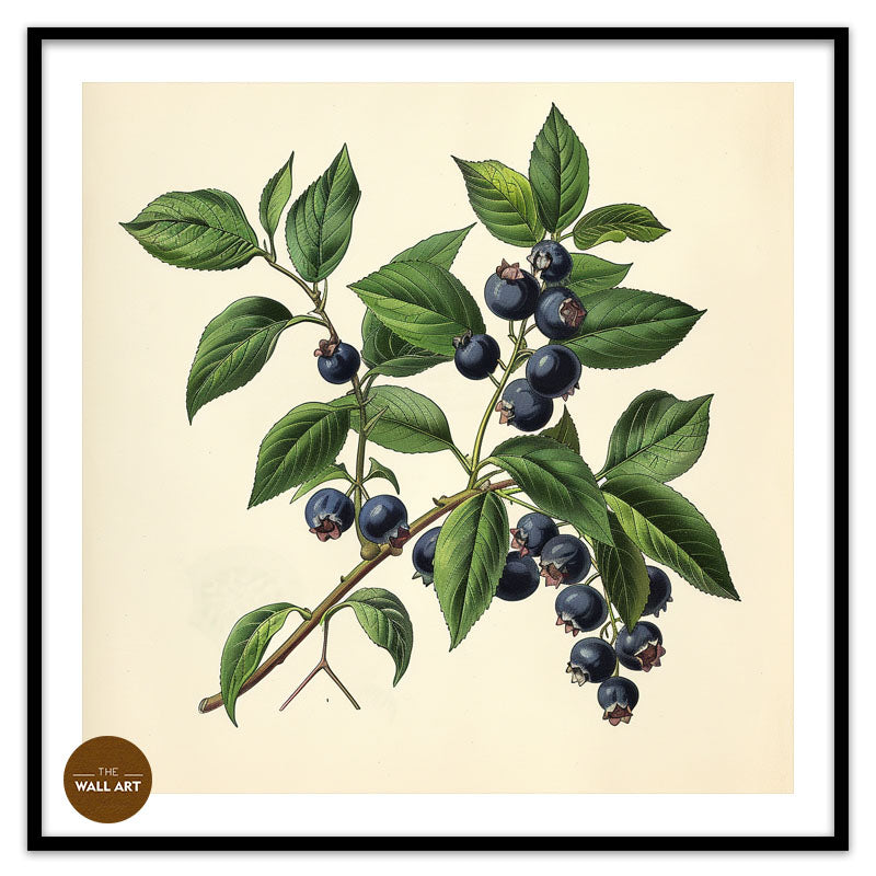 BLUEBERRY BRANCH II