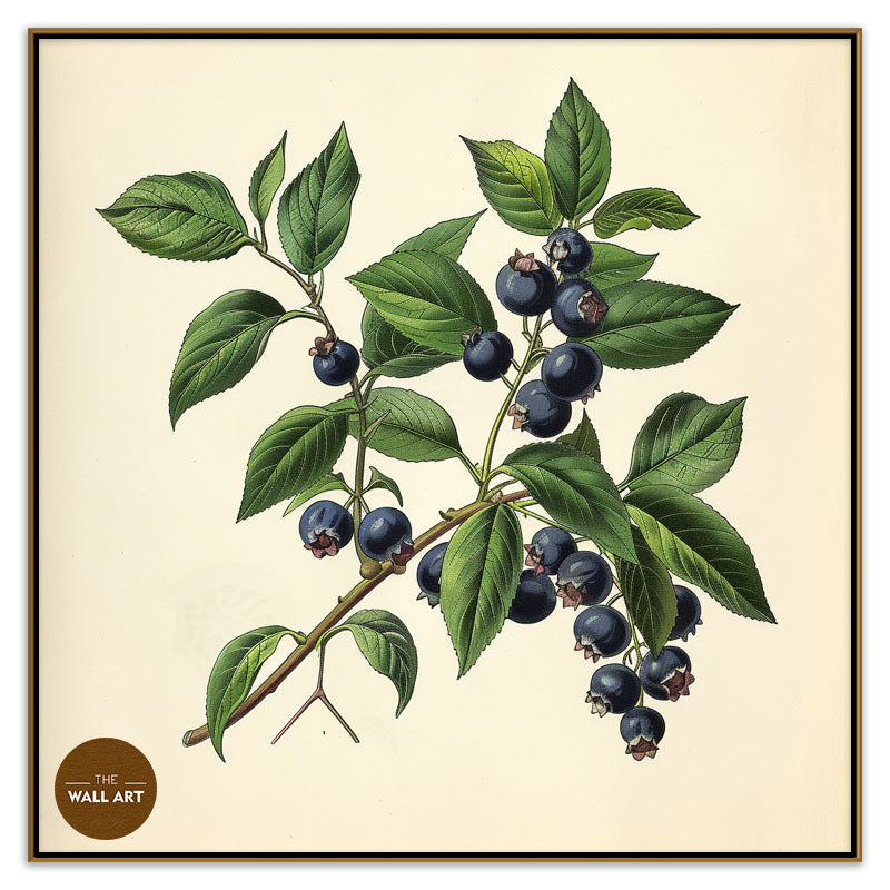 BLUEBERRY BRANCH II