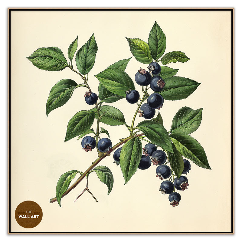 BLUEBERRY BRANCH II