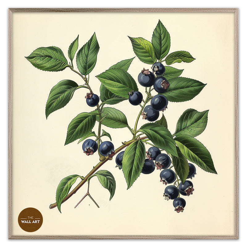 BLUEBERRY BRANCH II