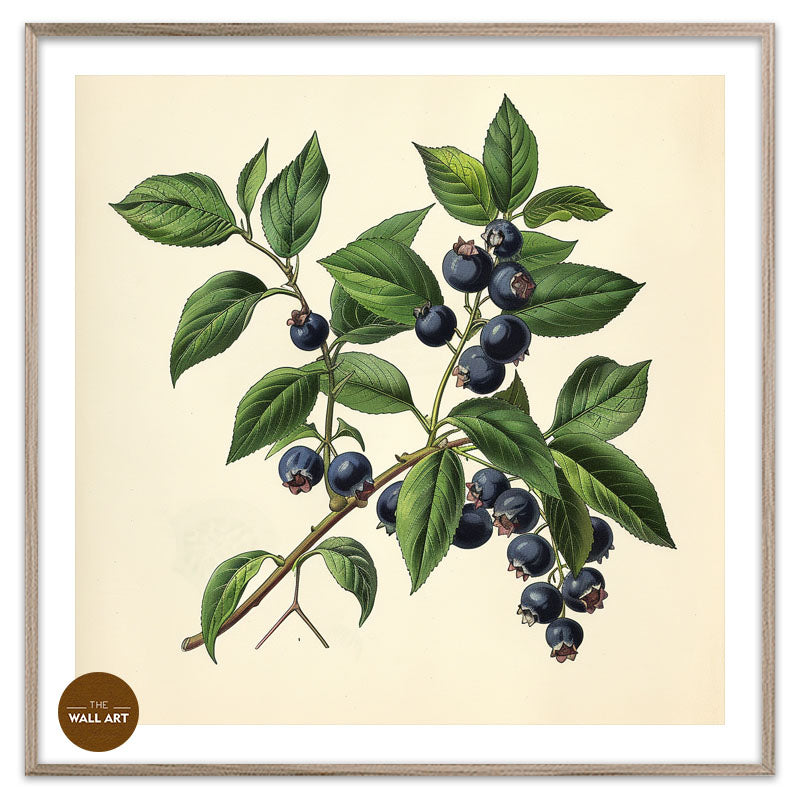 BLUEBERRY BRANCH II