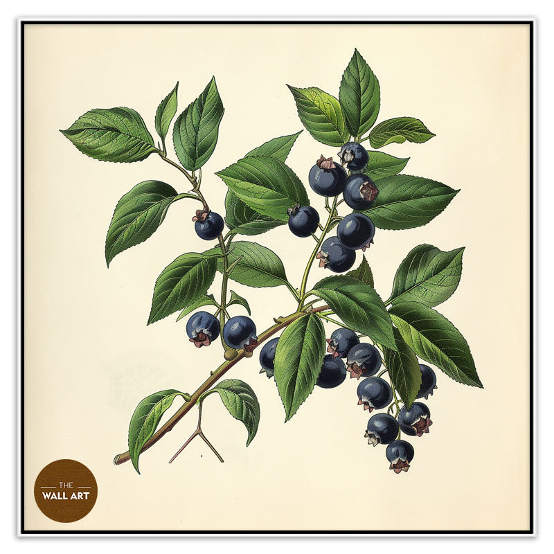 BLUEBERRY BRANCH II