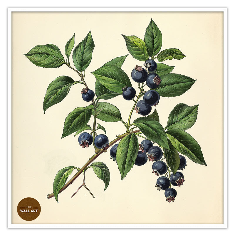 BLUEBERRY BRANCH II