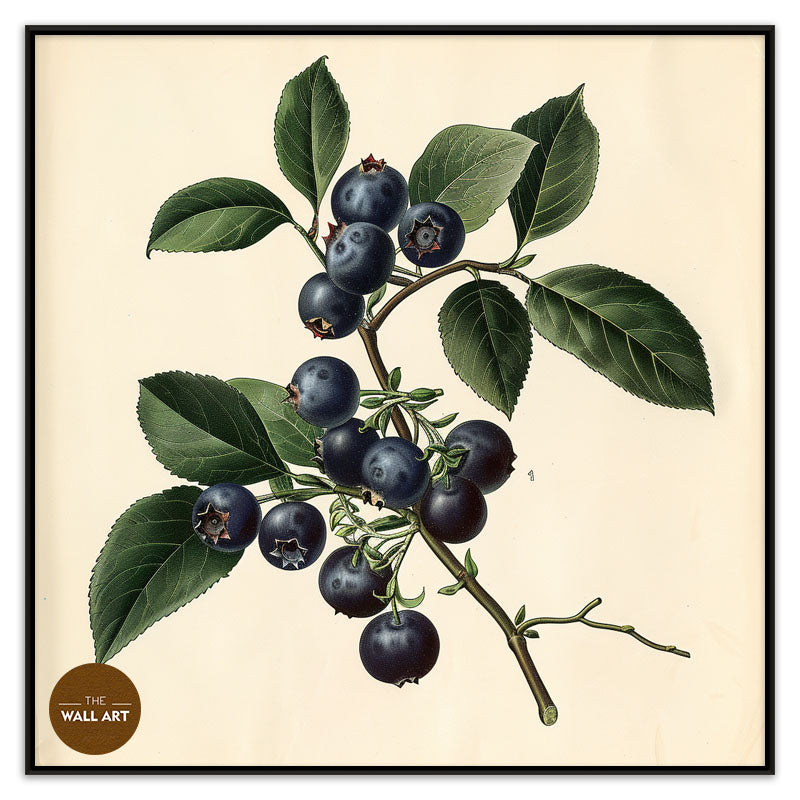BLUEBERRY BRANCH I