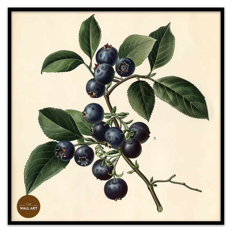 BLUEBERRY BRANCH I