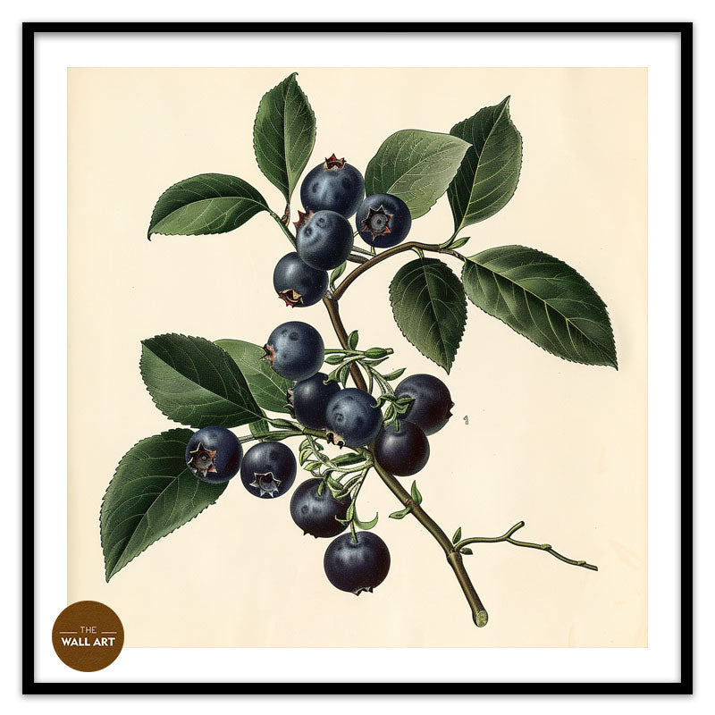 BLUEBERRY BRANCH I