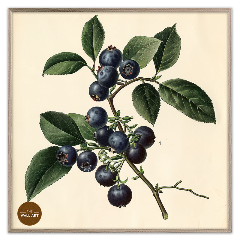BLUEBERRY BRANCH I