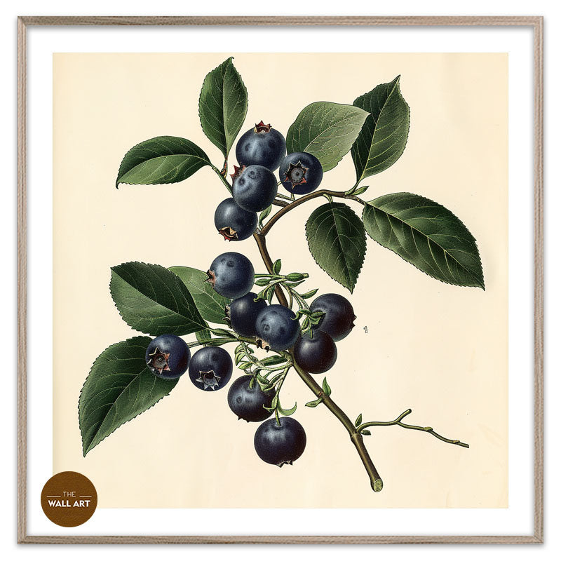 BLUEBERRY BRANCH I