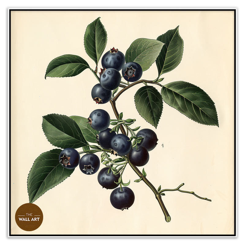 BLUEBERRY BRANCH I
