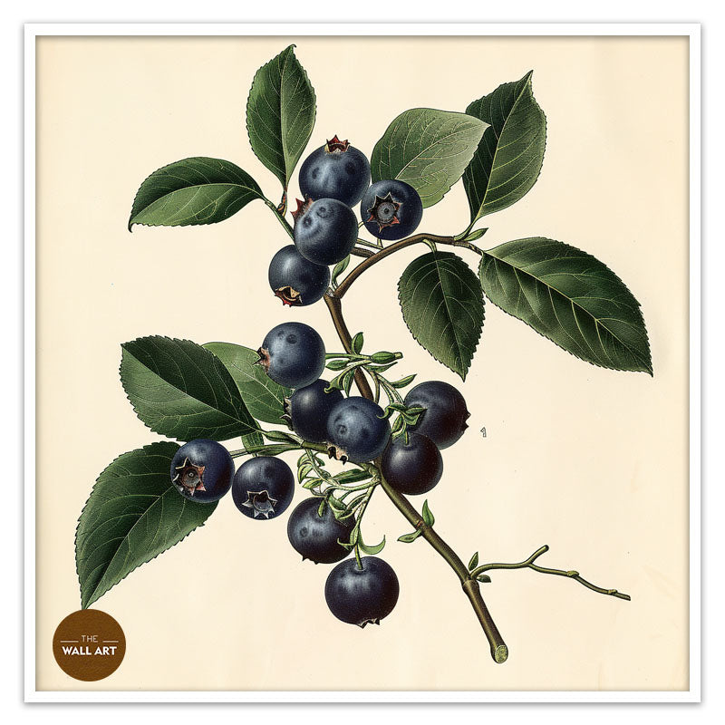 BLUEBERRY BRANCH I