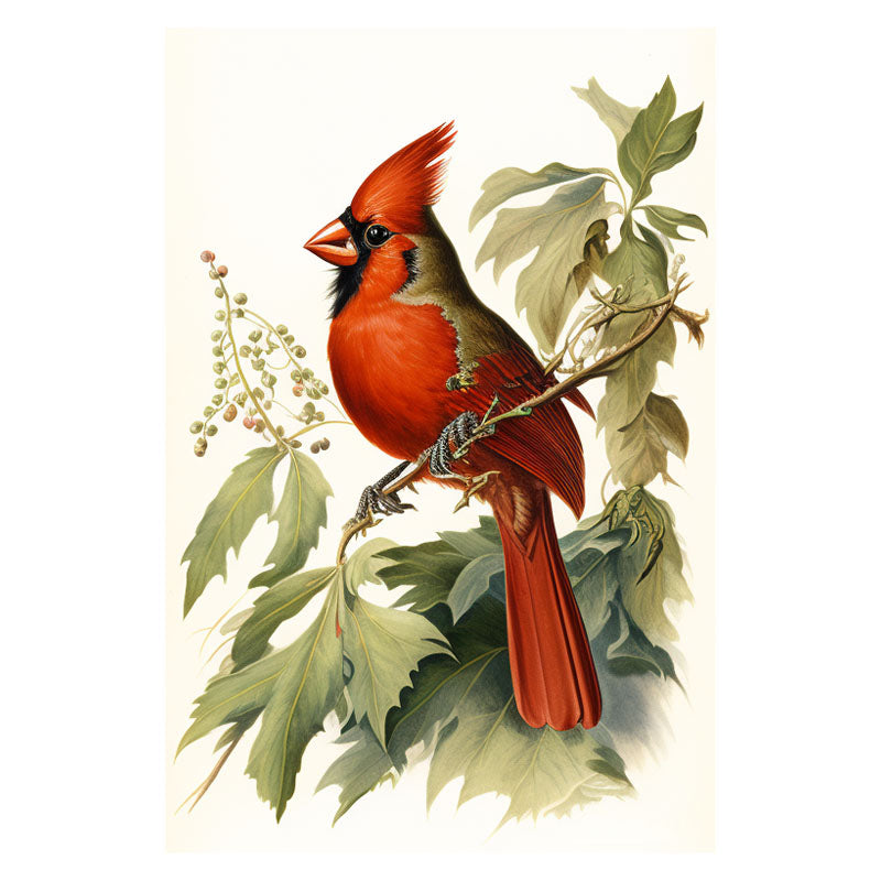 CARDINAL BIRD I