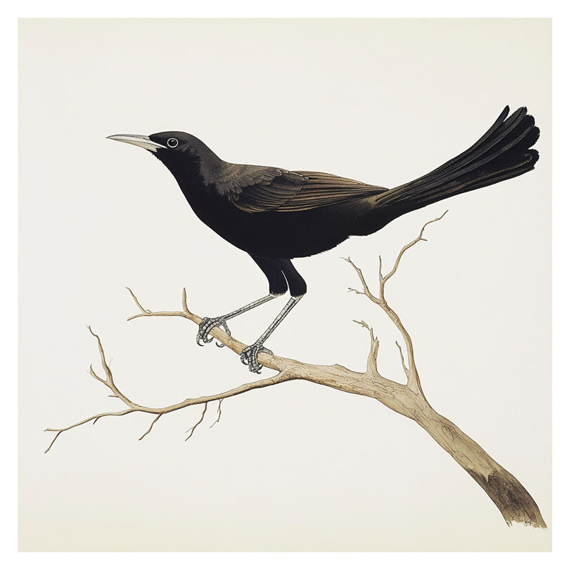 CROW ON TREE