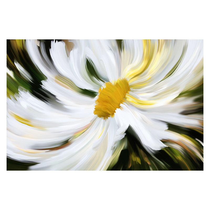 DAISY MIRACLE