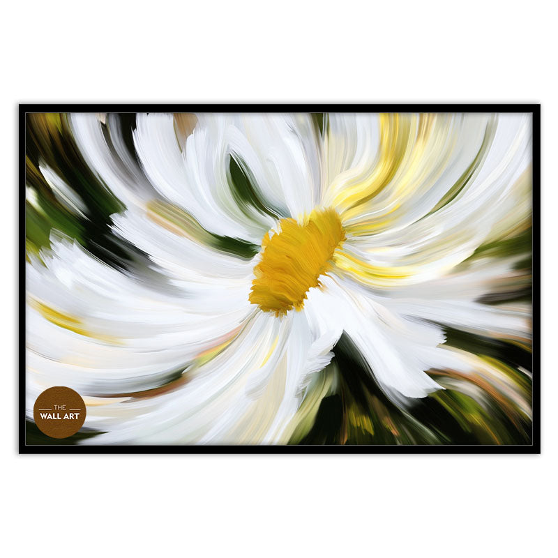 DAISY MIRACLE