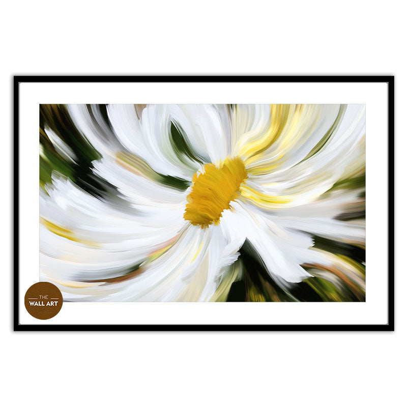 DAISY MIRACLE