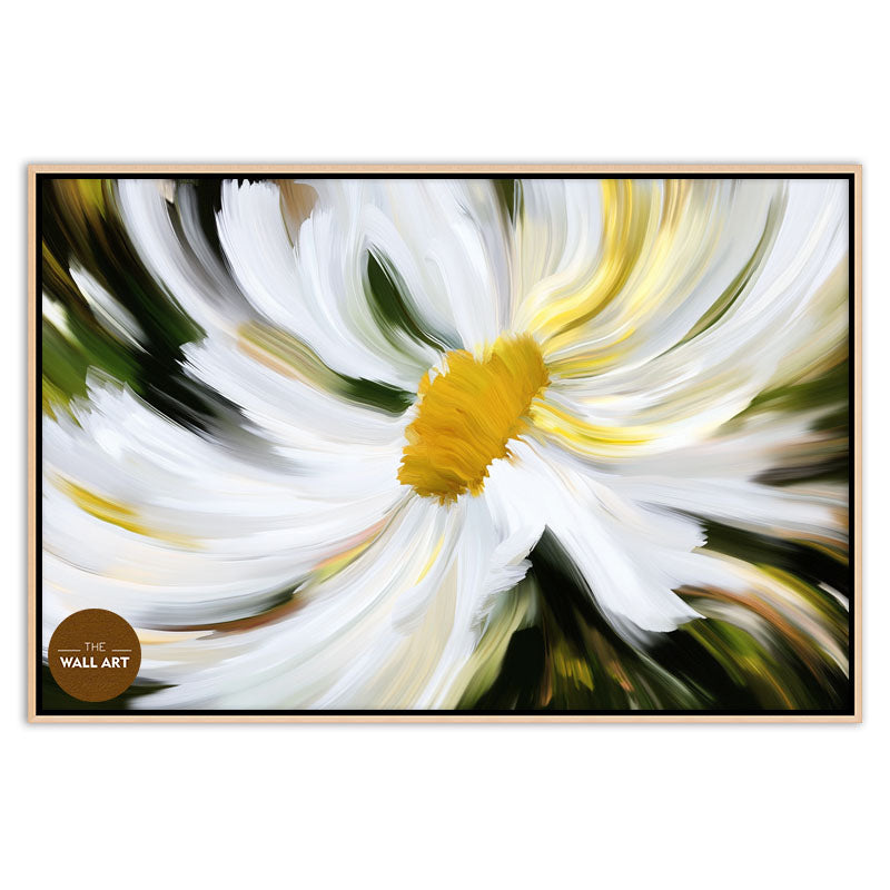 DAISY MIRACLE