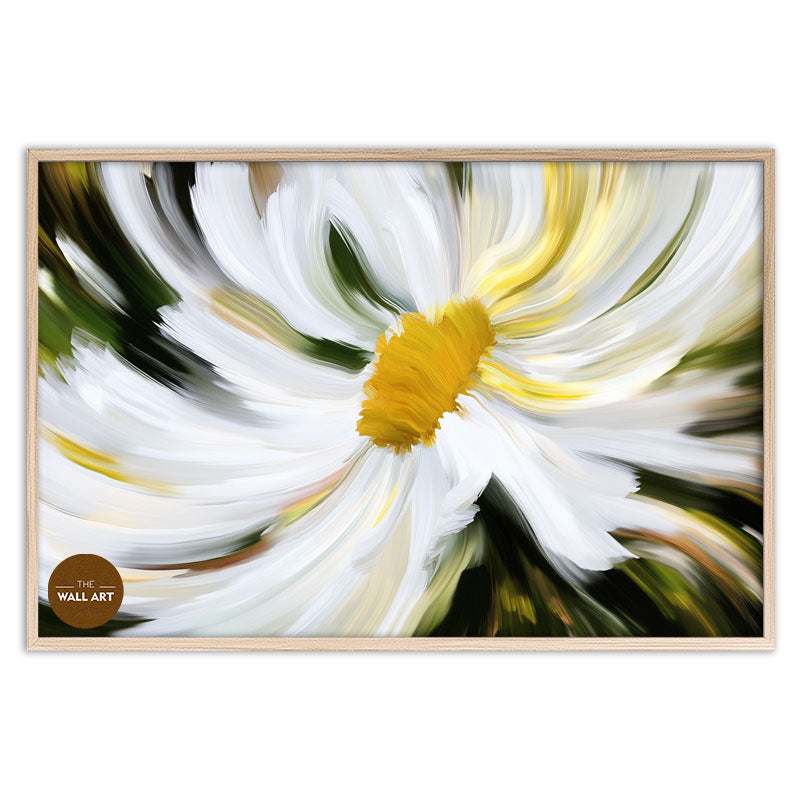 DAISY MIRACLE