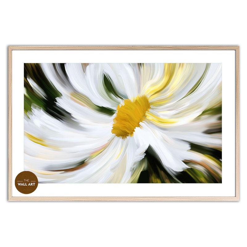 DAISY MIRACLE