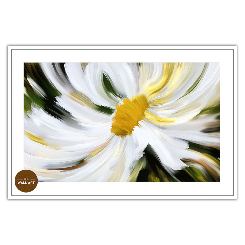 DAISY MIRACLE