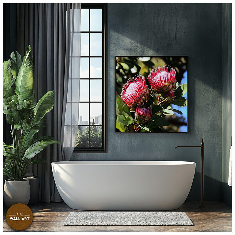 DEEP RED PROTEA FLOWERS