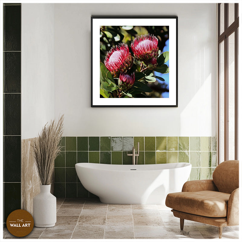 DEEP RED PROTEA FLOWERS