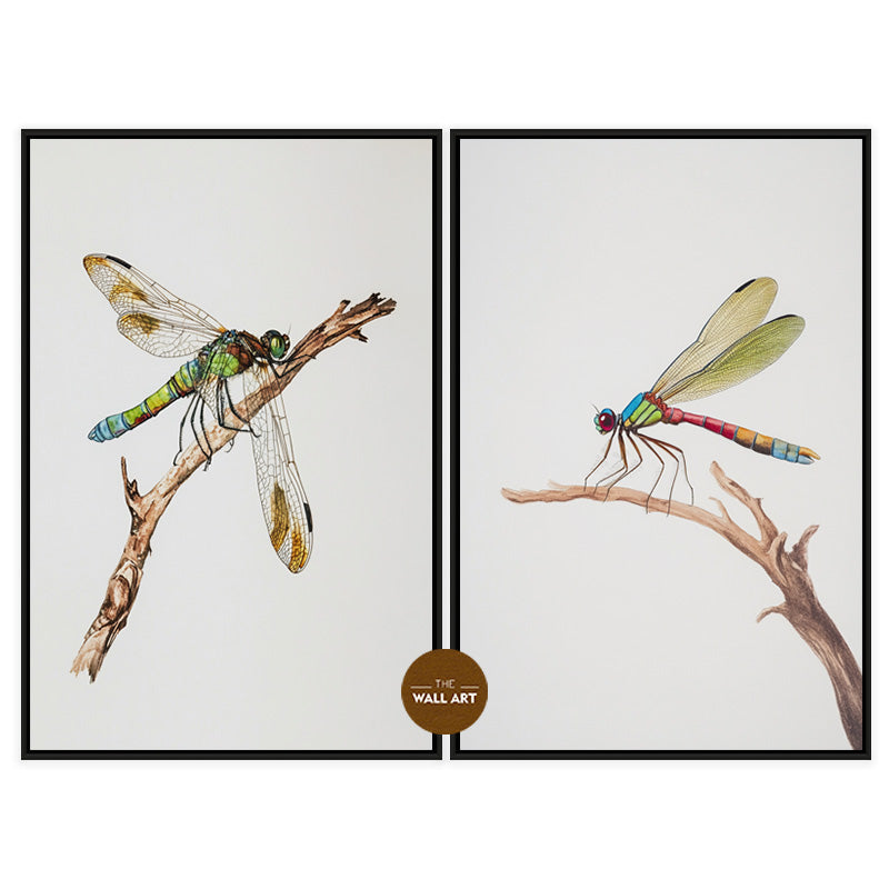 DRAGONFLY III_SETOF2_