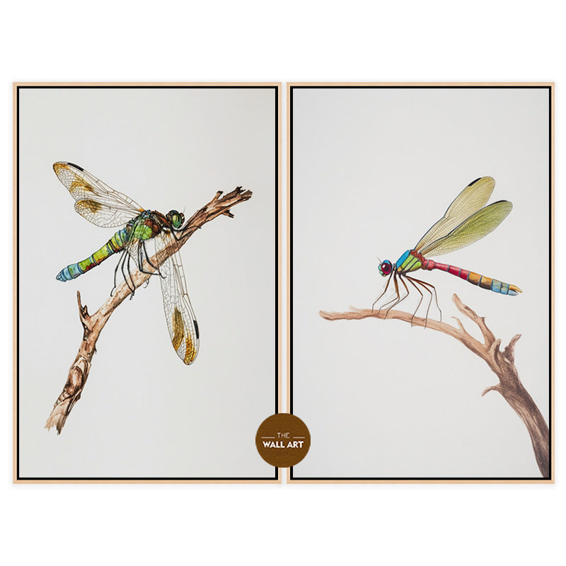 DRAGONFLY III_SETOF2_