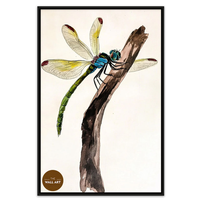 DRAGONFLY II