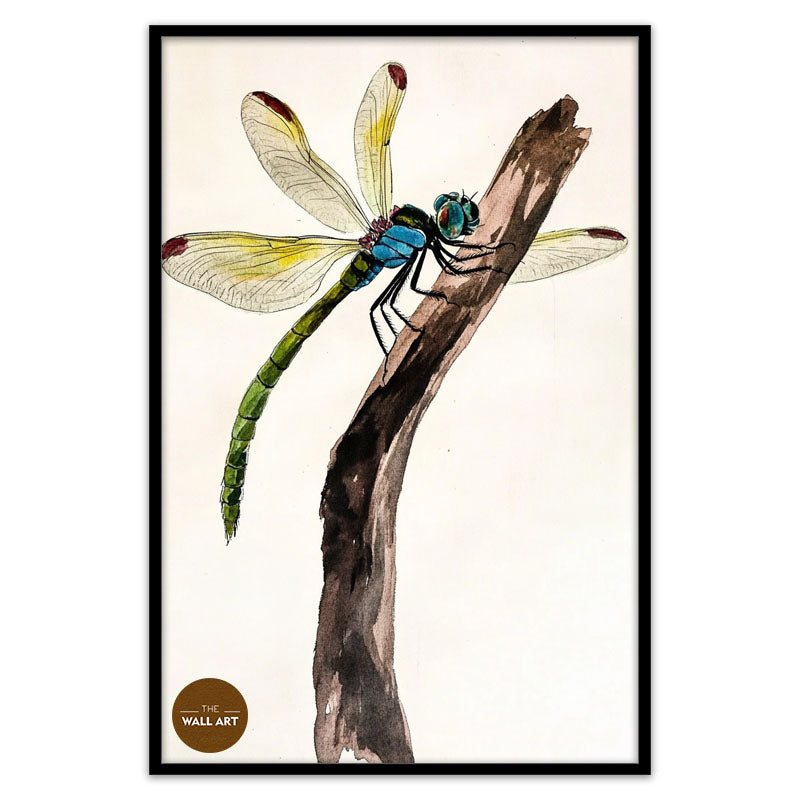 DRAGONFLY II
