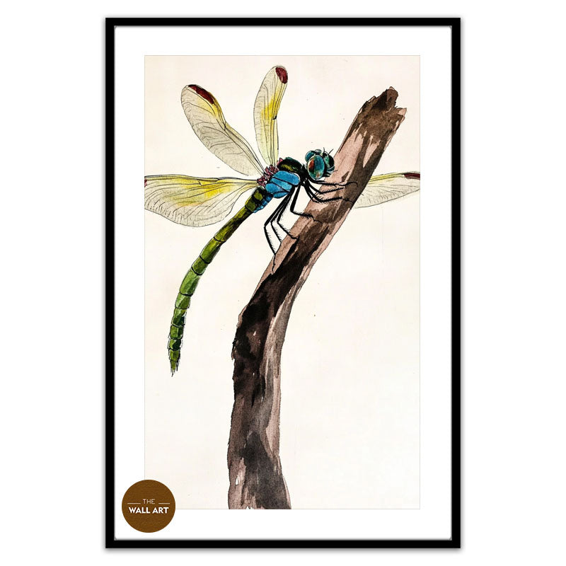 DRAGONFLY II
