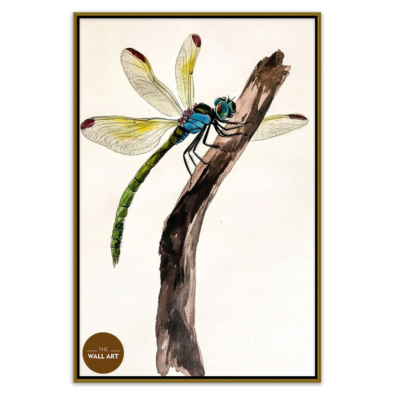 DRAGONFLY II