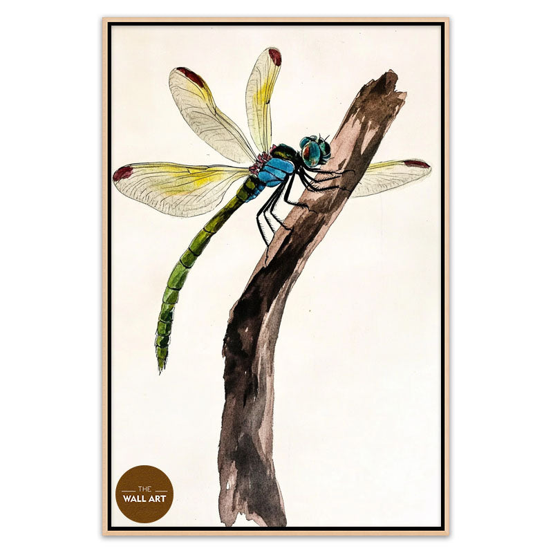 DRAGONFLY II