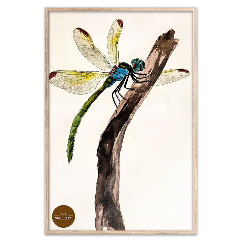 DRAGONFLY II