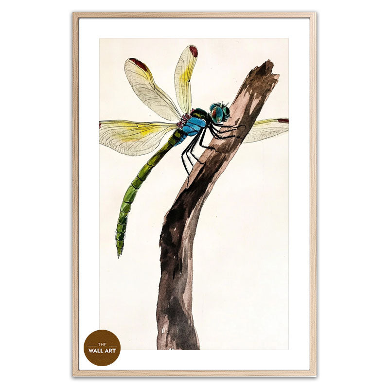 DRAGONFLY II