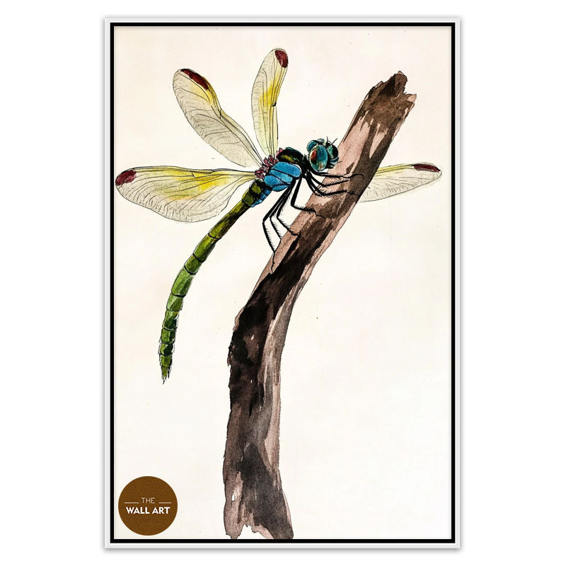 DRAGONFLY II