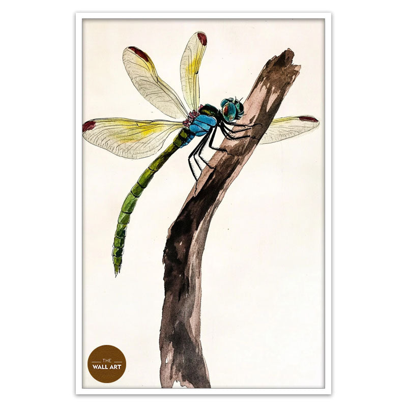 DRAGONFLY II