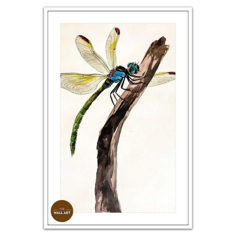 DRAGONFLY II