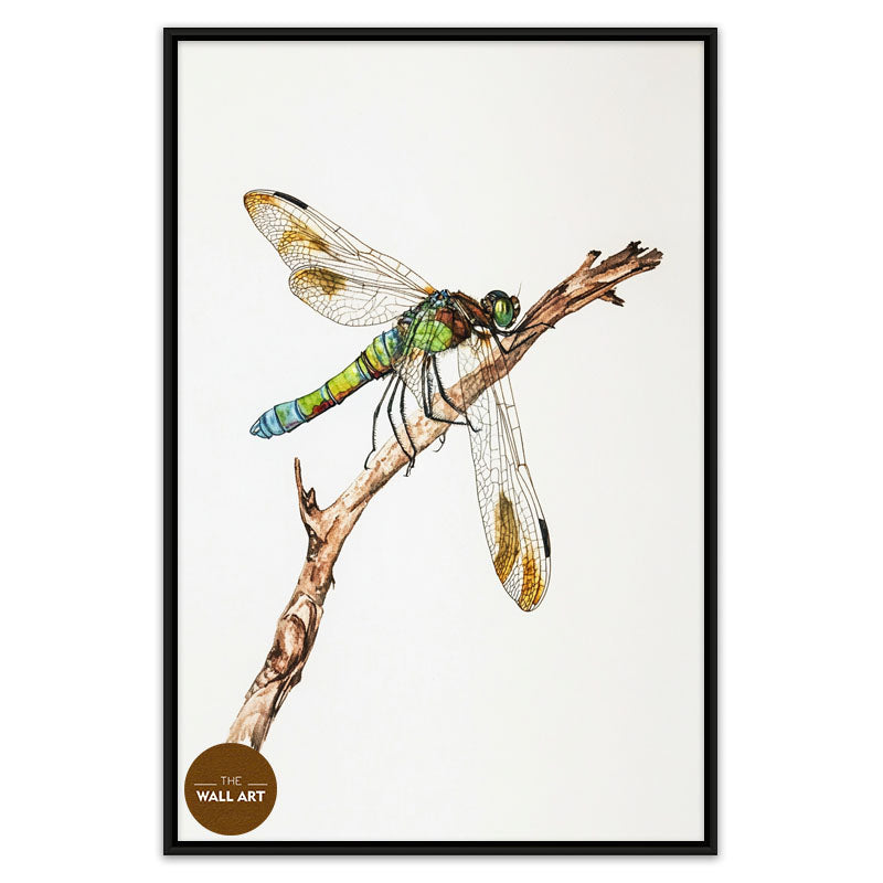 DRAGONFLY IV