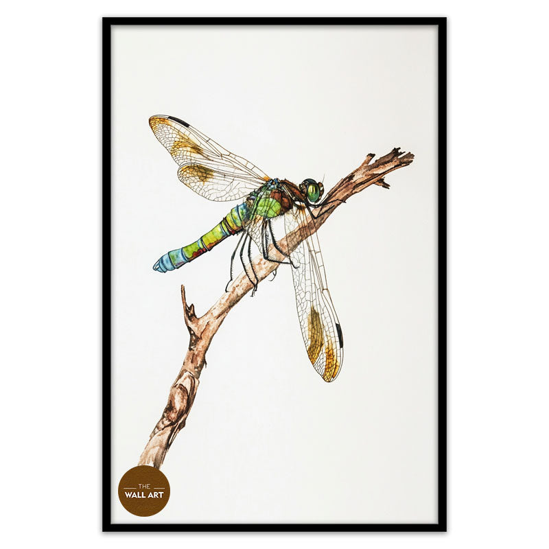 DRAGONFLY IV