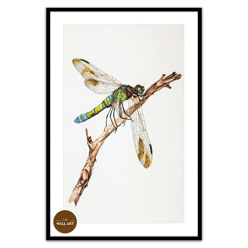 DRAGONFLY IV