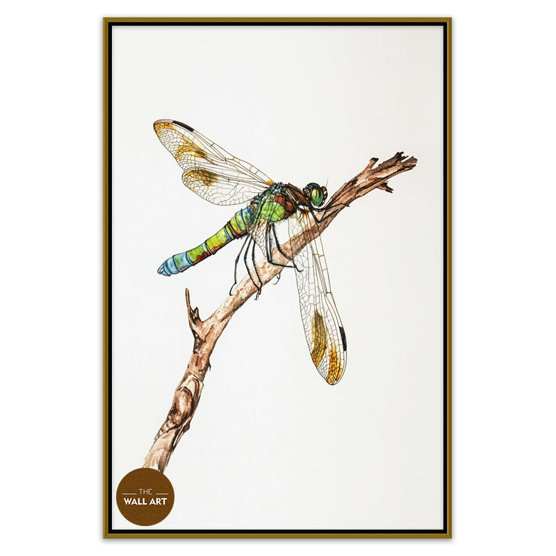 DRAGONFLY IV