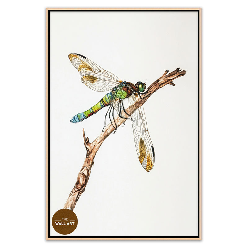 DRAGONFLY IV