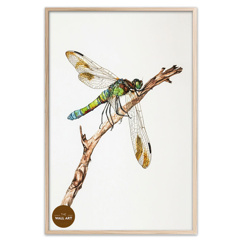 DRAGONFLY IV