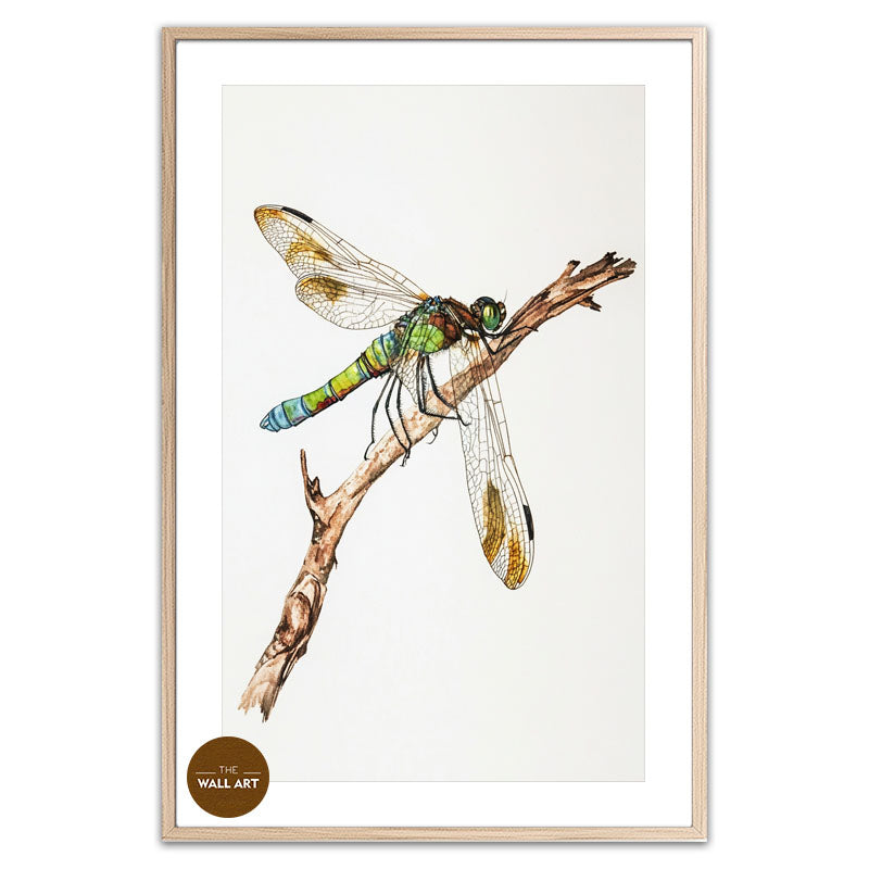 DRAGONFLY IV