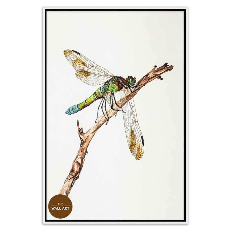 DRAGONFLY IV