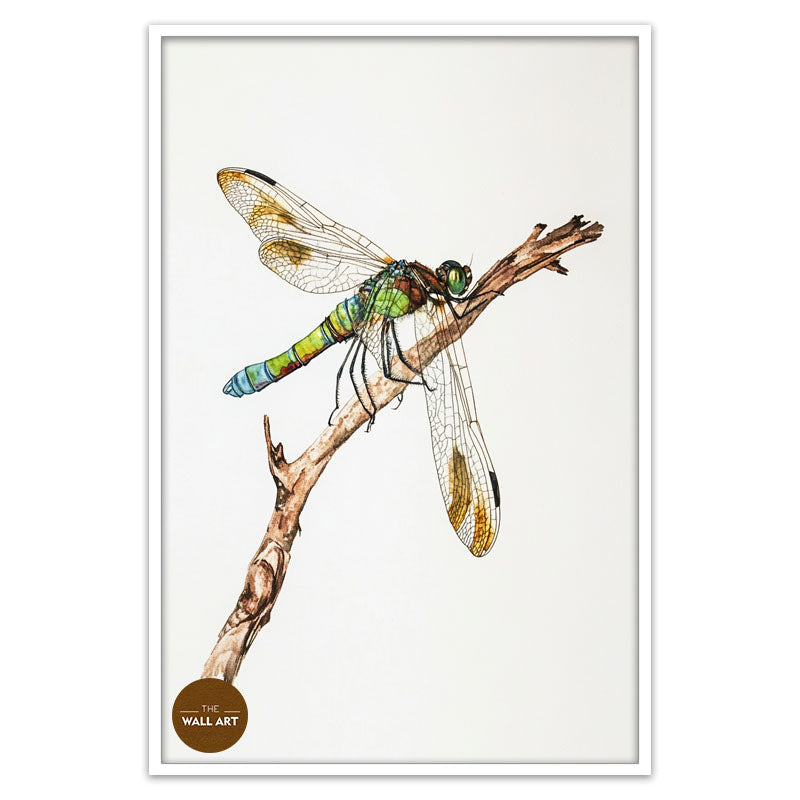 DRAGONFLY IV