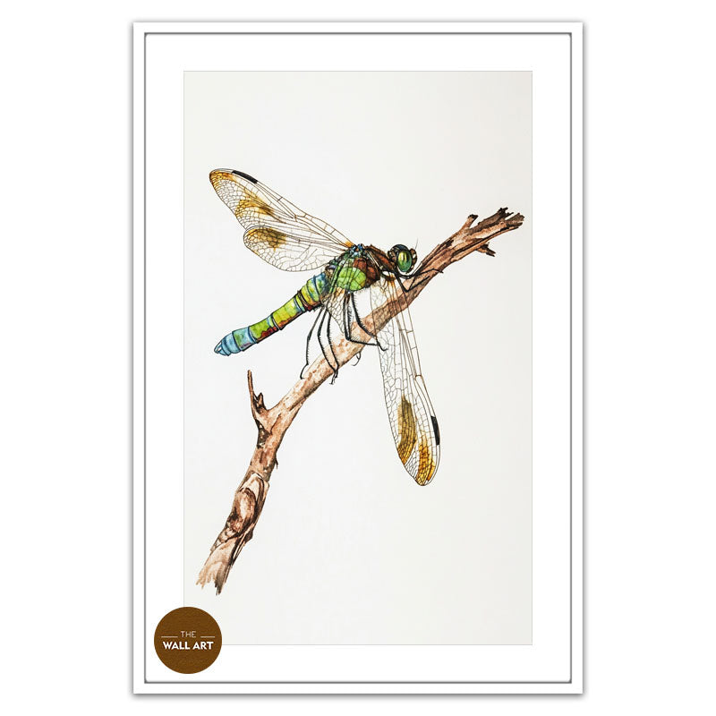 DRAGONFLY IV